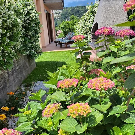 Madonnina Terrace E Garden Apartment *